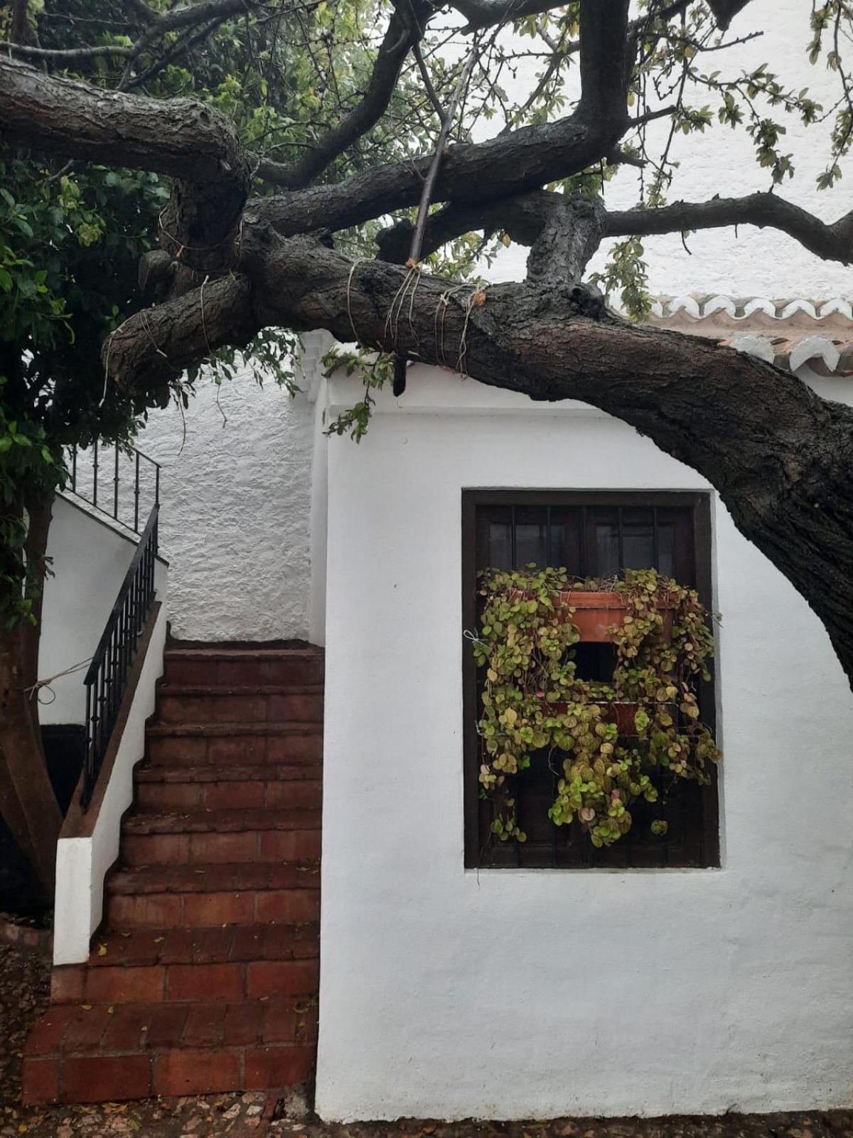 Hotel Rural Verde Oliva Comares Pokoj fotografie
