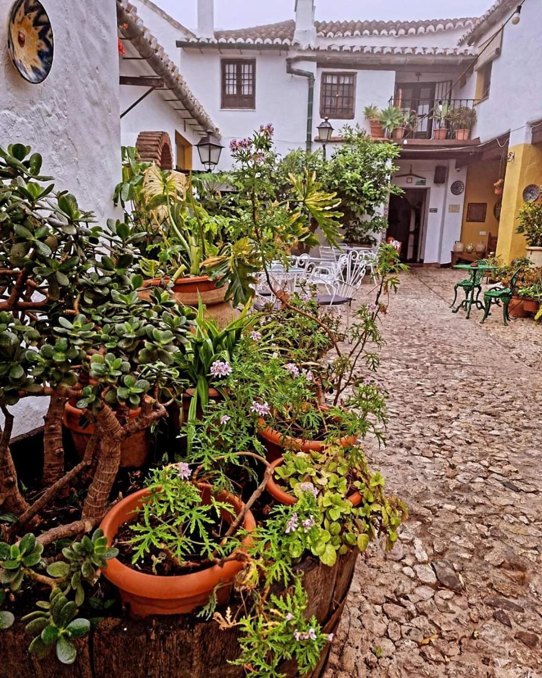 Hotel Rural Verde Oliva Comares Exteriér fotografie