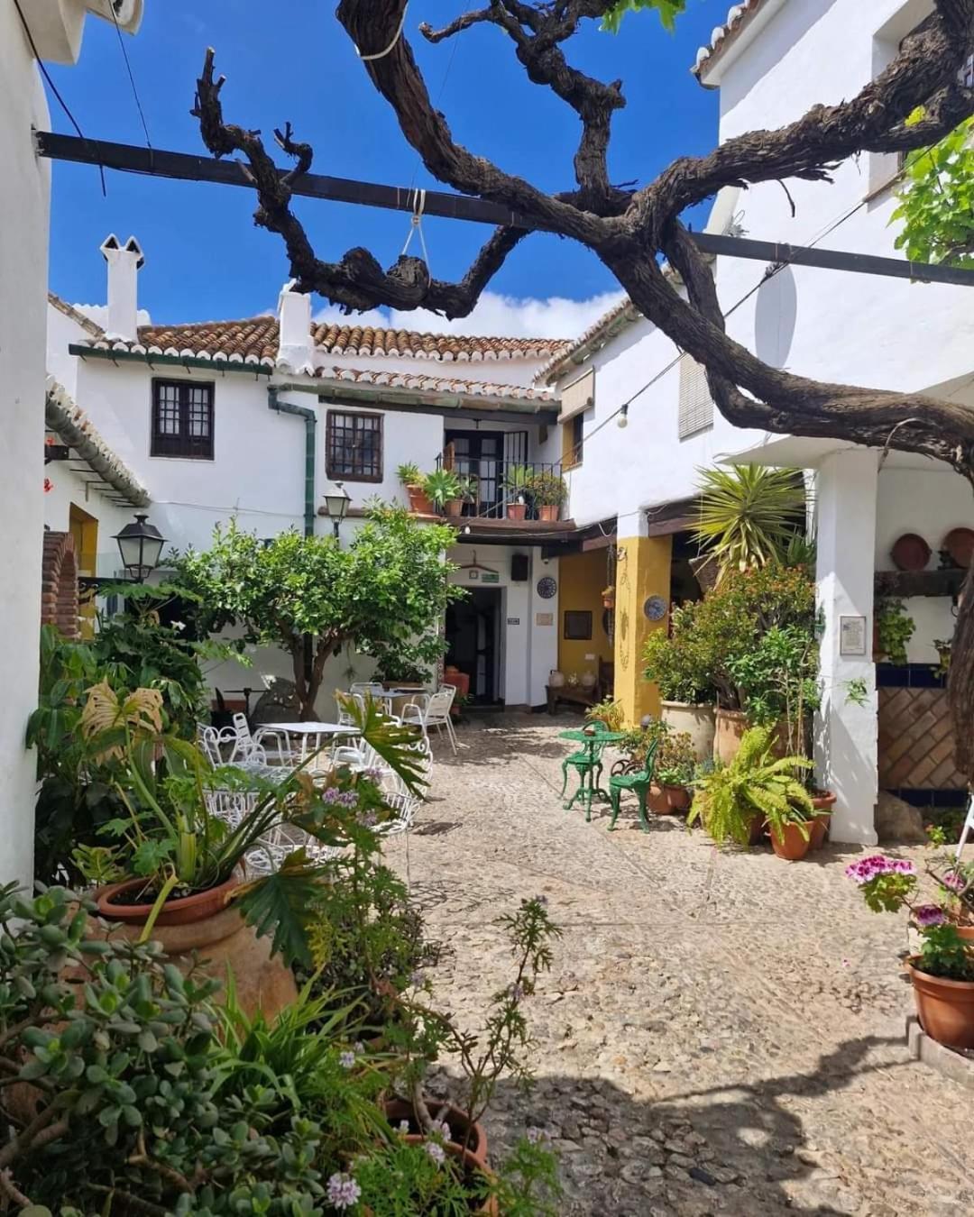 Hotel Rural Verde Oliva Comares Exteriér fotografie
